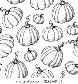 Pumpkin sketch seamless pattern. Vector illustration. Hand drawn background.