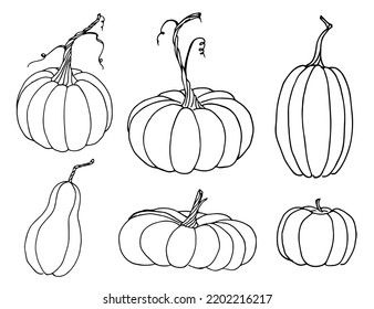 Pumpkin sketch set. Vector hand drawn illustration in outline style for Halloween or Harvest festival. Black line on white isolated background