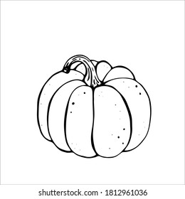 Calabaza. Esbozar elementos dibujados a mano con estilo. Ilustración vectorial de contorno de material, aislada en fondo blanco.