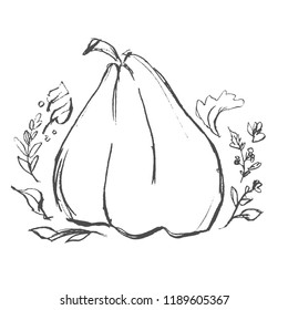 Pumpkin sketch vector illustration