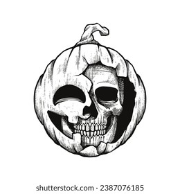 Calavera de calabaza, ilustración de la pluma de grabado a mano y del vector de tinta