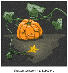 The pumpkin is sleeping in the garden. Vector illustration