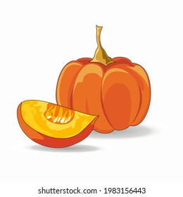 Calabaza y trozo de calabaza colorida fruta vegetal de la cosecha de otoño Isolación ilustración vectorial