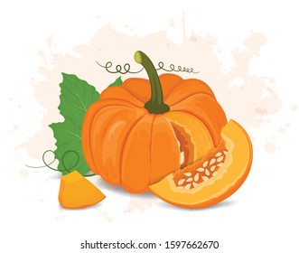 pumpkin with pumpkin slice with green leaves vector illustration