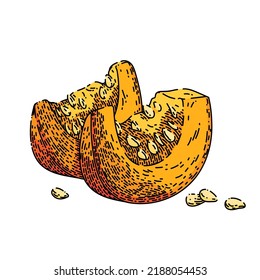 pumpkin slice hand drawn vector. cut white food piece, fresh autumn, top squash raw orange pumpkin slice sketch. isolated color illustration