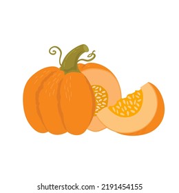 Calabaza y rodajas aisladas sobre fondo blanco. Ilustración vectorial de verduras otoñales tradicionales. Alimentos saludables