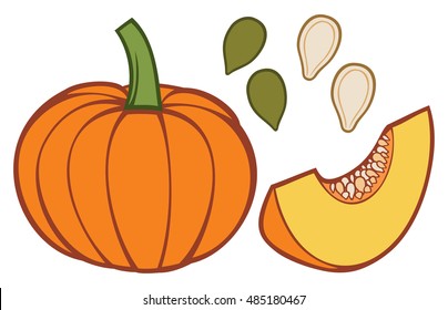 Pumpkin With Slice And Seeds Vector Illustration