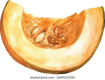 Kürbisscheibe Aquarell Vektorgrafik