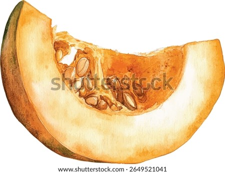 Pumpkin Slice Watercolor  vector illustration