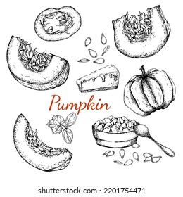 Pumpkin. Sliced pumpkin, seeds and plant sprout. Porridge and pumpkin pie. Black and white stock illustration. Sketch. Hand drawn. Isolated. Engraving. Great for vegetarian food labeling, packaging an