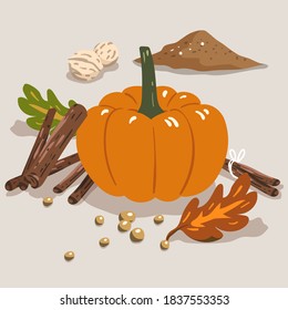 pumpkin spice ingredients, Halloween vibes vector elements for promotion, recipe, cookbook, dessert and snack baking. autumn color palette for greeting card, banner, wrapping paper, gift wrap