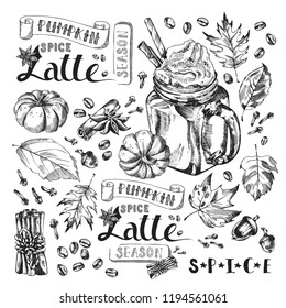Pumpkin Spice Latte Coffee, Autumn Holiday Hot Drink Illustration. Festive beverage with title, spicy and fall foliage decoration, acorns. Engraved style vector artwork. Good for cafe menus, bar ads