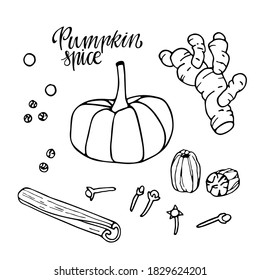 Pumpkin spice set. Hand drawn Autumn elements with lettering. Doodle Outline vector illustration. Organic, fresh cooking, healthy diet ingredient. Organic product sketch. Flavor cooking ingredient