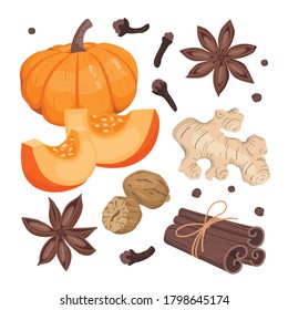 Pumpkin spice set: large pumpkin, pumpkin slices, cinnamon, clove spice, star anise, ginger, nutmeg. Vector flat illustrations on a white background isolated.