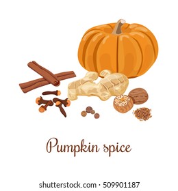 Pumpkin spice. Vector illustration. Nutmeg, ginger, cloves, cinnamon, allspice. Spices set. For food design, restaurant cafe Can be used as logo, tag, label