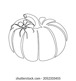 Pumpkin with spider one line art. Continuous line drawing of halloween theme, gothic, harvest, autumn mood, black Widow, karakurt, tarantula.