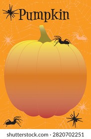 Pumpkin with spider and spider web