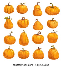 Pumpkin, squash and gourd vegetable cartoon icons. Orange and yellow autumn pumpkins with green leaf isolated vector symbols for agriculture harvest, Thanksgiving or Halloween holidays design