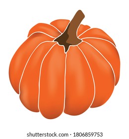 Pumpkin, squash and gourd vegetable cartoon icons. Orange and yellow autumn pumpkins with green leaf isolated vector symbols for agriculture harvest, thanksgiving or Halloween holidays design.