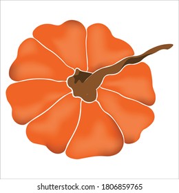 Iconos de dibujos animados de calabaza, calabaza y huerta de calabaza. Calabazas de otoño de color naranja y amarillo con símbolos vectoriales aislados de hoja verde para la cosecha agrícola, el Día de Acción de Gracias o el diseño de las fiestas de Halloween.