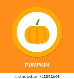 Pumpkin - squash for Halloween or Thanksgiving