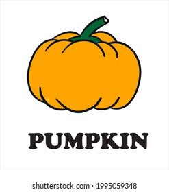 Pumpkin - squash for Halloween or Thanksgiving Day flat vector color icon for apps and websites