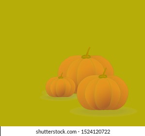 Pumpkin - squash for Halloween or Thanksgiving, vector illustration.