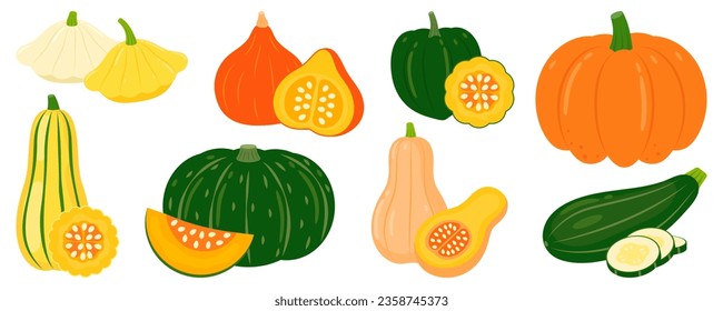 Calabaza y calabaza aisladas sobre fondo blanco. Elementos de Acción de Gracias y Halloween. Cosecha los calabazas. Ilustración vectorial de verduras de estilo plano.