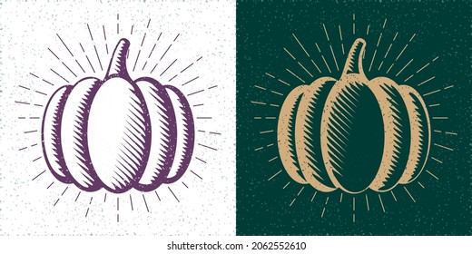 Pumpkin or Squash Straight and Inverted Woodcut Style Illustrations Thanksgining or Turkey Day Greetings Templates Set - Gold and Purple on Turquoise and White Background - Vector Hand Drawn Design