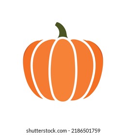 pumpkin squash symbol of halloween or thanksgiving day, flat color icon