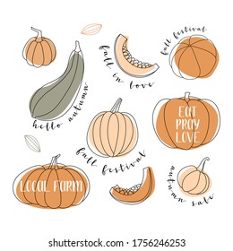 Pumpkin, squash, zucchini, marrow. Various shapes and colors. Perfect for autumn decorative design, thanksgiving and halloween invitation, harvest. Vector flat illustration