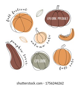 Calabaza, calabaza, calabaza, calabaza, médula. Diversas formas y colores. Perfecto para el diseño decorativo del otoño, la invitación al día de gracias y halloween, la cosecha. Ilustración plana del vector