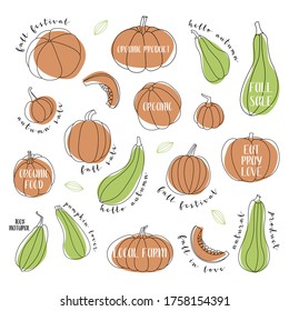 Pumpkin, squash, zucchini, marrow. Various shapes and colors. Perfect for autumn decorative design, thanksgiving and halloween invitation, harvest. Vector flat illustration