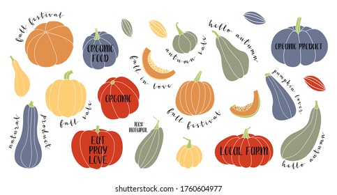 Pumpkin, squash, zucchini, marrow. Various shapes and colors. Perfect for autumn decorative design, thanksgiving and halloween invitation, harvest flyer, logo. Vector flat illustration