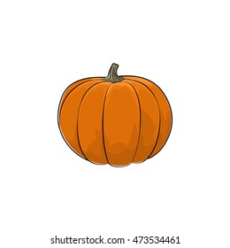 Pumpkin Standing Isolated on White Background, Orange Vegetables Gourd, Edible Fruit, Vector Illustration 