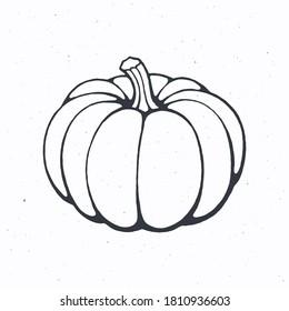 Pumpkin with stem. Healthy vegetarian food. Ingredient for vegetable menu. Vector illustration. Only outline Isolated on white background. Clip art for packaging, label, menu, signboard