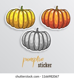Pumpkin stickers. Different colors of pumpkin stickers