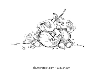 Pumpkin still life