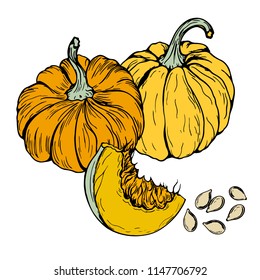 pumpkin style logo in retro style hand-drawn, style realism, card with pumpkins, pumpkin seeds, vector illustration
