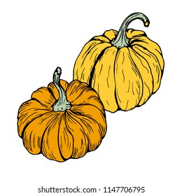 pumpkin style logo in retro style hand-drawn, style realism, card with pumpkins, pumpkin seeds, vector illustration
