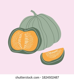 Pumpkin stylish illustration design. Autumn print in hand-drawn style. Whole and slices of pumpkin isolated on light background.