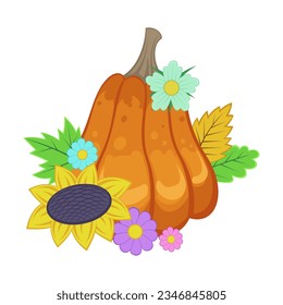 Pumpkin with sunflower and autumn leaves on white background. Autumn harvesting and seasonal vegetables cartoon illustration. Autumn of fall concept