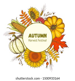 Pumpkin, sunflower, corn and fall leaves bouquet. Circle label concept. Thanksgiving design template. Hello autumn. Harvest festival. Hand drawn frame with fall leaves, pumpkin. Vector illustration 