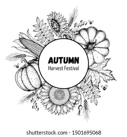 Pumpkin, sunflower, corn and fall leaves sketch bouquet. Circle label concept. Thanksgiving design templat. Hello autumn. Harvest festival.  Fall leaves, pumpkin, sunflower. Vector illustration 