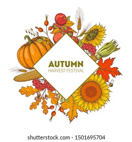 Pumpkin, sunflower, corn and fall leaves bouquet. Circle label concept. Thanksgiving design template. Hello autumn. Harvest festival. Hand drawn frame with fall leaves, pumpkin. Vector illustration 