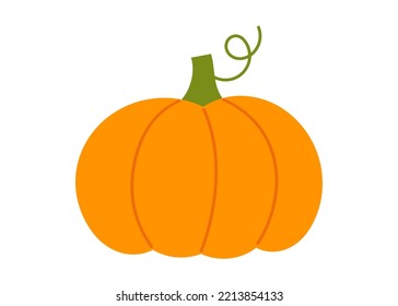 Pumpkin symbol drawing isolated on white background. Vector illustration.