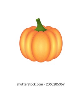 Pumpkin - a symbol of Halloween and Thanksgiving Day on a white background. Vector illustration..