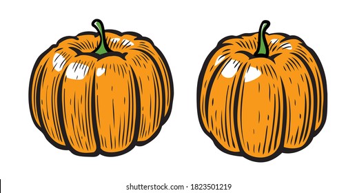 Pumpkin symbol. Vegetables cartoon vector illustration