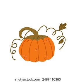 Pumpkin with tendrils isolated on white background. Textured stylized autumn ripe vegetable harvest. Vector hand drawn illustration