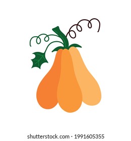 Pumpkin for thanksgiving day and Halloween design.Autumn harvest. Organic autumn vegetables. Vector flat illustration 